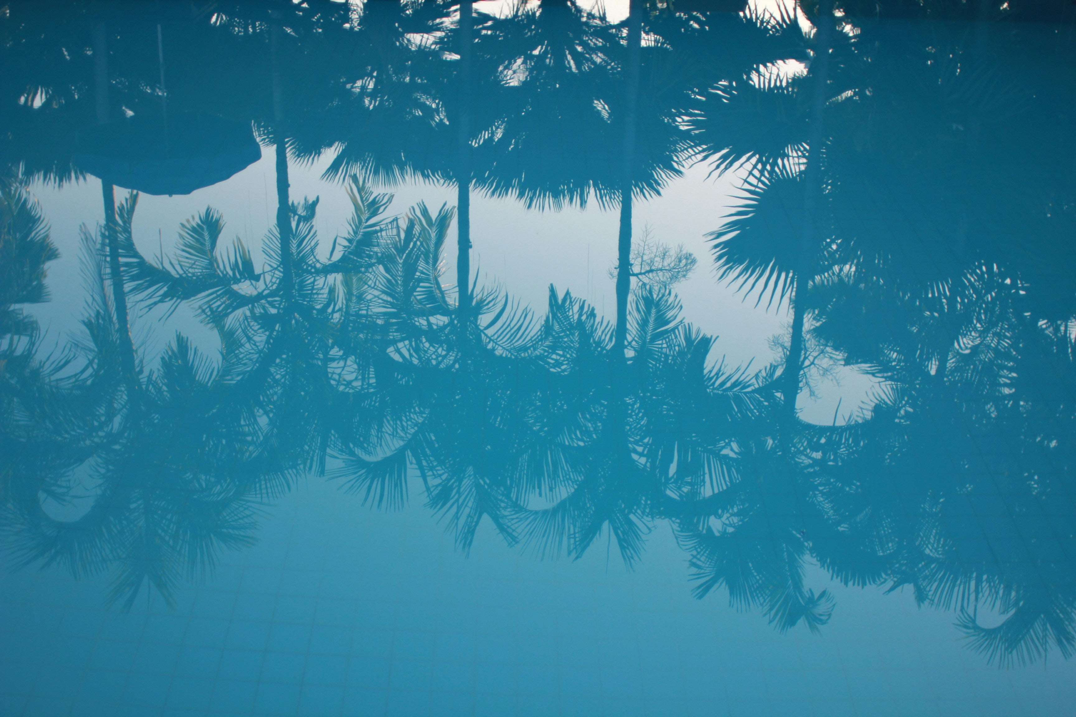 cole-patrick-hpCHLFknc2s-unsplash (1).jpg__PID:6548dea3-8ee3-4dc6-a1a0-06b82026ece6